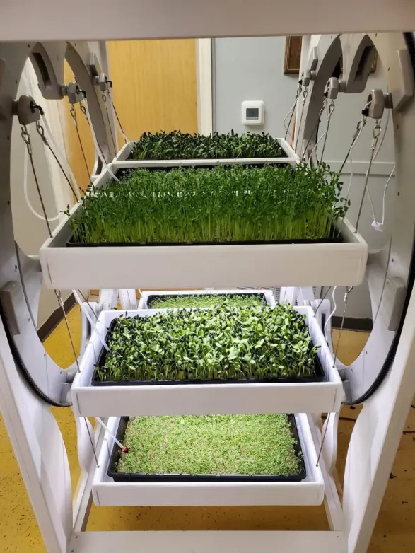 Homesteader Contraption