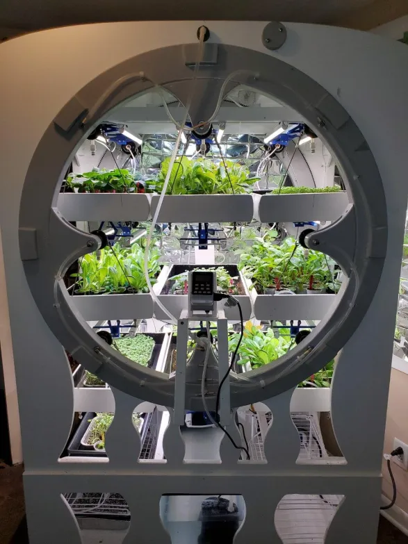 Homesteader Contraption